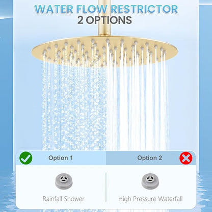 10 Inch Brushed Gold Round Rain Shower Head, All Metal Stainless Steel Rainfall Shower Heads with 100 Anti-Clog Silicone Nozzles, Wall or Ceiling Mount