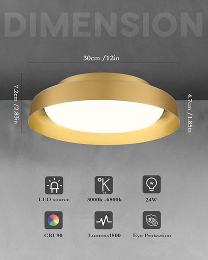 Ken & Ricky Flush Mount Ceiling Light Fixture, Led Dimmable 24w for Bedroom Kitchen Bathroom Laundry Hallway Entryway,Remote Control (Brushed Gold,12Inch,1PK)