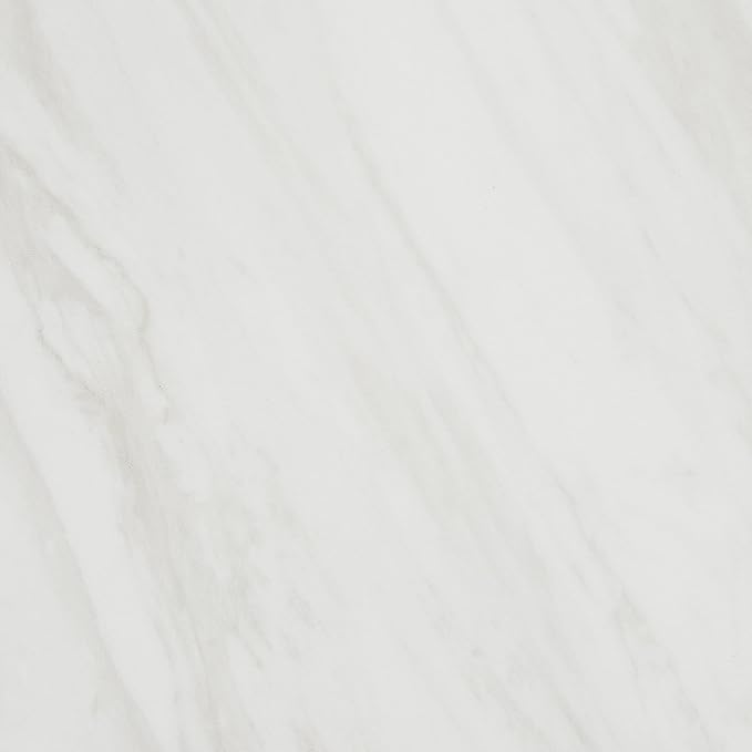 Daltile Perpetuo 24" X 24" Porcelain Marble Look Floor Tile in Matte Timeless White (4 pieces per carton) (15.20 sqft per carton)