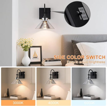 Modern Glass Gooseneck Wall Sconce, Dimmable Hardwired Vanity Light with Switch, Farmhouse Lamp for Bathroom Mirror Living Room Bedroom Kitchen