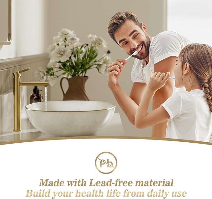 Brushed Gold One Hole High Bathroom Vessel Sink Faucet, Single Hole Single Handle Tall Bathroom Faucet, with Pop Up Drain and Water Supply Line,FH01-BG-V