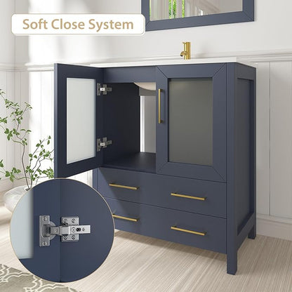 Vanity Art 42 Inch Under Mount Single Sink Bathroom Vanity Cabinet with 1 Mirror, Ceramic Top Bathroom Cabinet Compact Set with 5 Dovetail Storage Drawers and Gold Finish Handles, VA3030-42B