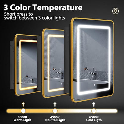 ROOMTEC Lighted Medicine Cabinet with Mirror 20"x30", Bathroom Mirror Cabinet with Lights and Storage, Single Doors Bathroom Wall Cabinet with LED Lights,Gold