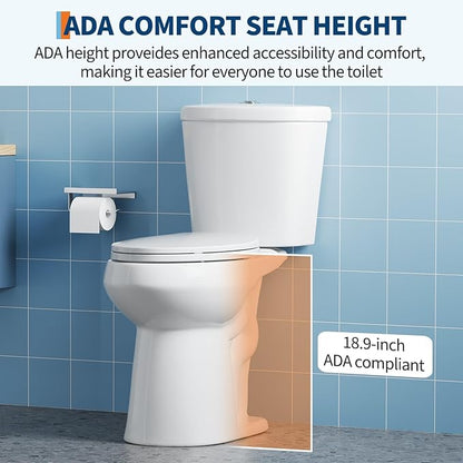 Two Piece Toilet with 19" ADA Height, Elongated Ceramic Bowl and Locking PP Lid -Dual Flush, CUPC Certified, Water Efficient