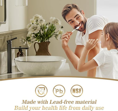 Matte Black one Hole Tall Bathroom Vessel Sink Faucet, Single Hole Single Handle Vanity Bathroom Faucet, with Pop Up Drain and Water Supply Line, FH02-MB-V