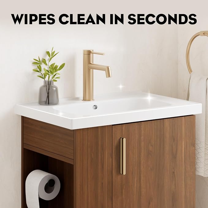 Pre-Assembled 20 Inch Small Bathroom Vanity, Freestanding Walnut Bathroom Cabinet with Ceramic Sink, Soft-Close Door, Left Side Storage, No Faucet, BV05-20-WALNUT-PLUS