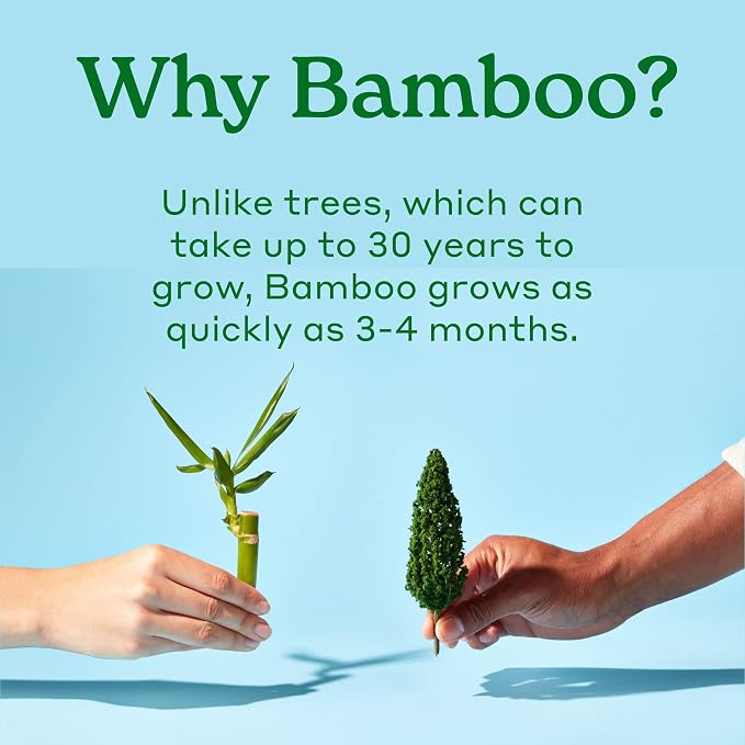 Caboo Tree Free Toilet Paper, Septic Safe Bath Tissue, Quick Dissolving 2 Ply Sheets - 300 Sheets Per Roll, 4 Double Rolls