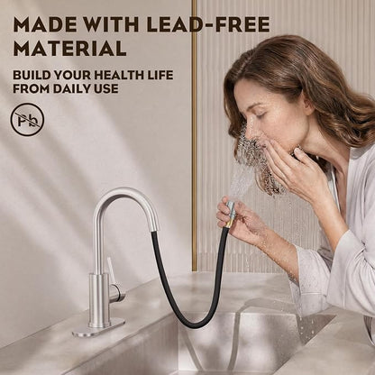 High Arc Pull Out Sprayer Bathroom Faucet,Brushed Nickel Single Handle Pull Down Faucet with Pop-Up Drain,1 or 3 Hole 2 Model RV Bar Laundry Utility Sink Faucet with Deck Plate, WE08CL-ZY-BN
