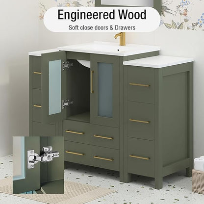HOMEBEYOND 48 Inch Modern Bathroom Vanity with Sink & Mirror, Single Vanity Cabinet with Basin and Mirror, Dove-Tailed Drawers, Soft-Closing Doors, Wood, Vintage Green