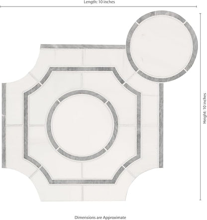 MSI Bianco Dolomite 10 in. x 10 in. Regency Polished Marble Tile for Kitchen Backsplash, Floor Tile, Wall Tile for Bathroom, Shower Wall Tile, Mesh Mounted Mosaic Tile