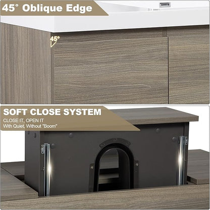 Wall Mounted 60 Inch Bathroom Vanity with Sink, Floating Vanity Bathroom, Single Sink Bathroom Vanity, 2 Drawers, 2 Soft Closing Doors, Resin Integrated Sink (Ash Grey)