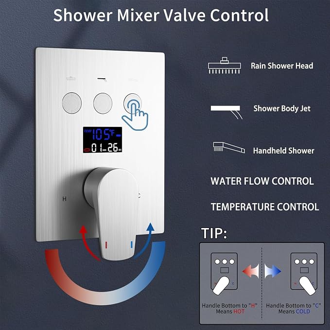 Dual Rain Shower Head System Ceiling Mount 14x20inch LED Shower Head and 8 Inch Side Shower Head with Handheld, Rainfall Shower Faucet Set (Brushed Nickel)