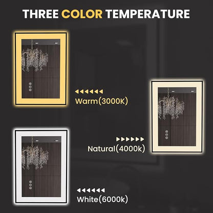 LOAAO 20"X28" LED Bathroom Mirror Black Framed | Anti-Fog, Dimmable, Memory Function, Tempered Glass, Lighted Vanity Mirror for Wall