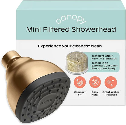 Canopy Mini Filtered Shower Head - Compact Filter for Hard Water - Brass