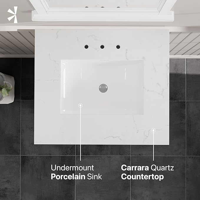 Eviva Britney 24 in. White Single Sink Bath Vanity with Carrara Quartz Top and Undermount Porcelain Sink