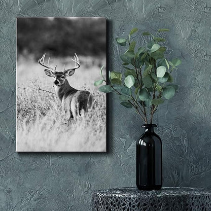Renditions Gallery Canvas Animal Wall Art Home Modern Decorations Paintings Vintage Scared Deer Black & White Canvas Wall Hanging Artwork Prints for Bedroom Living Room Office - 24"x36" LT02