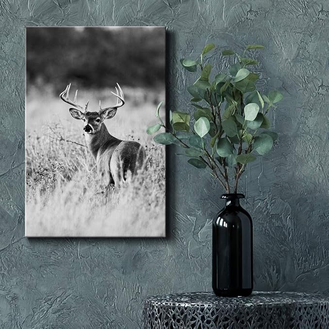 Renditions Gallery Canvas Animal Wall Art Home Modern Decorations Paintings Vintage Scared Deer Black & White Canvas Wall Hanging Artwork Prints for Bedroom Living Room Office - 8"x12" LT02