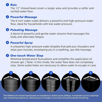Hibbent 5-spray Filtered Rainfall Shower Head Combo, High Pressure 13'' Showerhead with 10 Spray Modes Handheld, All Metal 3 way Diverter Shower Arm, 71'' Hose and Holder, Chrome