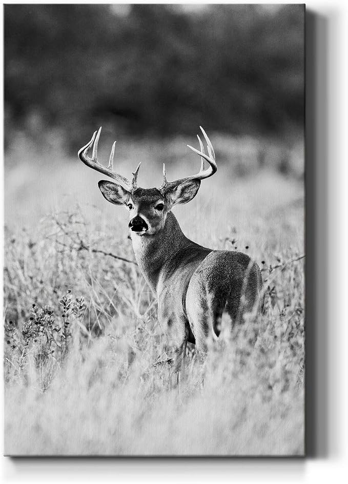 Renditions Gallery Canvas Animal Wall Art Home Modern Decorations Paintings Vintage Scared Deer Black & White Canvas Wall Hanging Artwork Prints for Bedroom Living Room Office - 24"x36" LT02