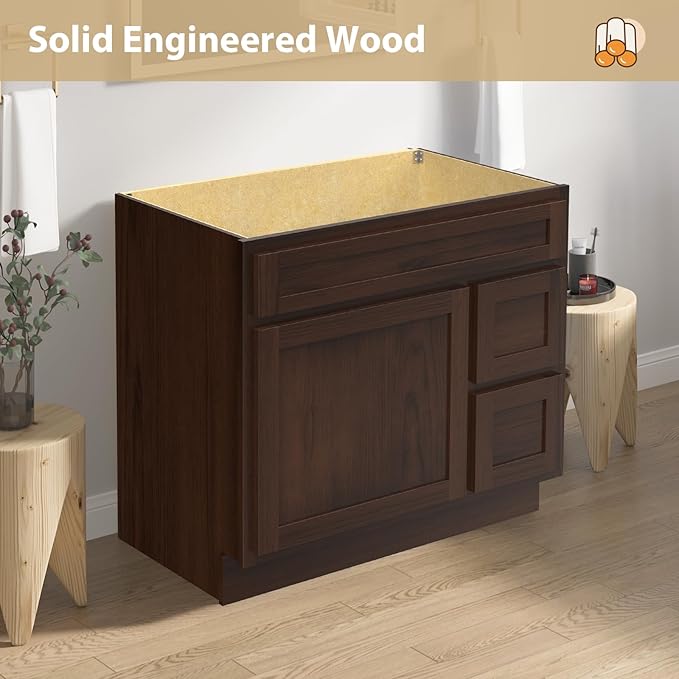 Vanity Art 36 Inch Single Shutter Door Bathroom Vanity Base Cabinet with 2 Functioning Shaker Drawers, Strudy Floor Mount Storage Cabinet Organizer for Bedroom, Living Room, Kitchen, VA4036-2R-B