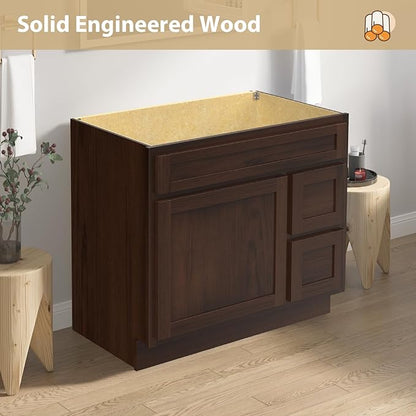 Vanity Art 36 Inch Single Shutter Door Bathroom Vanity Base Cabinet with 2 Functioning Shaker Drawers, Strudy Floor Mount Storage Cabinet Organizer for Bedroom, Living Room, Kitchen, VA4036-2R-B