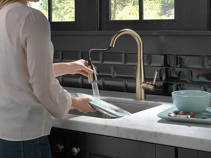 Delta Essa Brushed Gold Bar Sink Faucet with Pull Down Sprayer, Modern Single Hole Prep Sink Faucet, Single Handle, Champagne Bronze 9913-CZ-DST