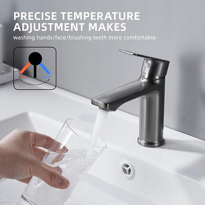 BELZ Brushed Grey Bathroom Faucet, Modern Single Handle One Hole Bath Vanity Sink Faucet for 1 Hole