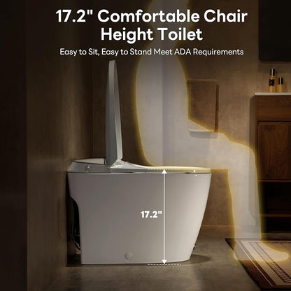 One Piece Toilet with 17.2" ADA Comfort Chair Height Seat,Silver | Compact Modern Toilet for Bathroom,Elongated Bowl,1.0GPF Button & Foot Kick Flush, Air Pressure Assisted Flush, 12'' Rough-in