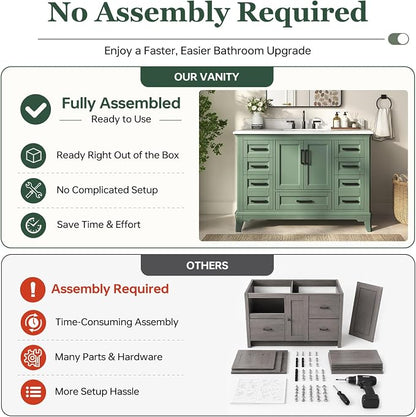 48 Inch Fully Assembled Bathroom Vanity with Sink, Sage Green | Modern Solid Wood Freestanding Vanity for Bathroom, Quartz Top & Backsplash, Soft-Close Doors, Dovetail Drawers, Bath Upgrade