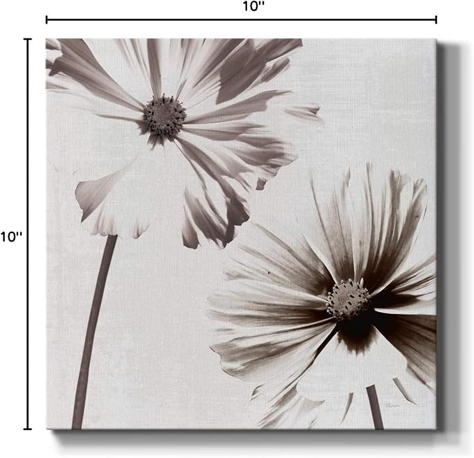 Renditions Gallery Takes Two Wall Art, Premium Gallery Wrapped Canvas Decor, Ready to Hang, 10 in H x 10 in W, Made in America Print