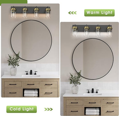 Espird Bathroom Lighting Fixtures, 4-Light Bathroom Vanity Lights Over Mirror, Black and Gold Vanity Light with Glass Shade, Modern Vanity Lighting Fixtures for Bathroom, Bedroom, Hallway