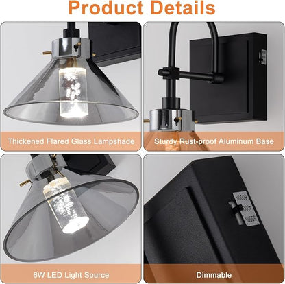 Modern Glass Gooseneck Wall Sconce, Dimmable Hardwired Vanity Light with Switch, Farmhouse Lamp for Bathroom Mirror Living Room Bedroom Kitchen