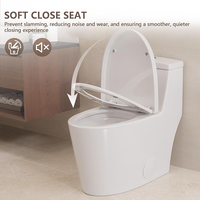 DeerValley Elongated One Piece Toilet with Standard Height Quick Release Seat Dual Flush 1.1/1.6 GPF White 12" Rough In Bathroom Toilet