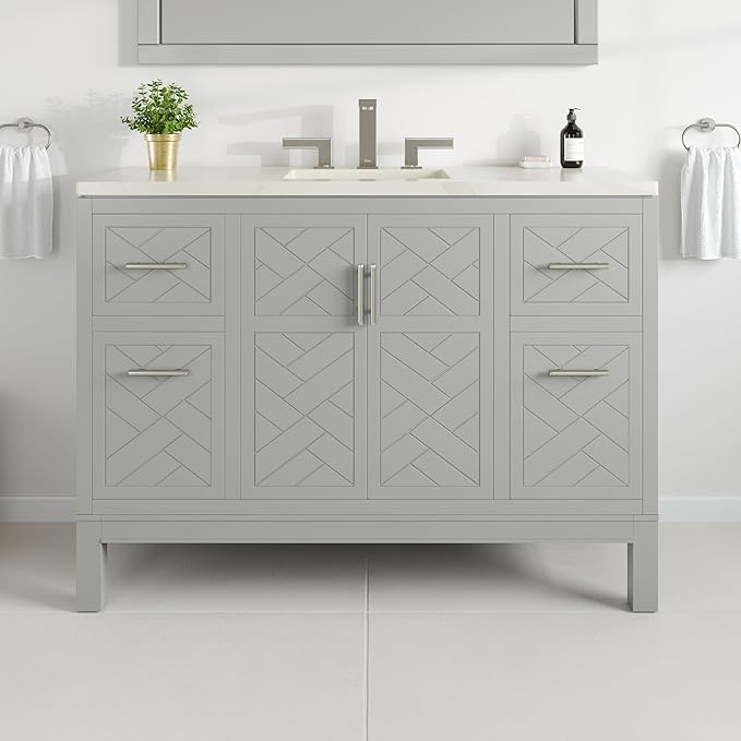 Eviva Cambridge 48 in. Gray Single Sink Bath Vanity with Quartz Top and Undermount Porcelain Sink