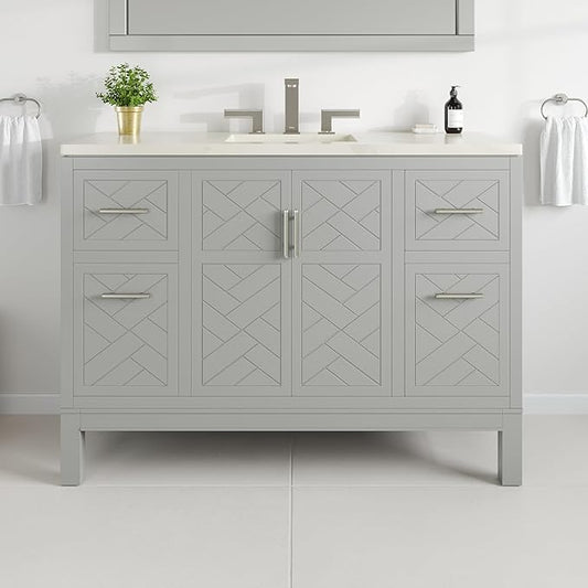 Eviva Cambridge 48 in. Gray Single Sink Bath Vanity with Quartz Top and Undermount Porcelain Sink