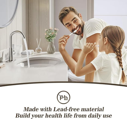 Phiestina Single Hole Brushed Nickel Bathroom Sink Faucet/Bar Sink/Pre-Kitchen Sink Faucet with 4 Inch Deck Plate,Drain and Supply Hoses, WE10-BN