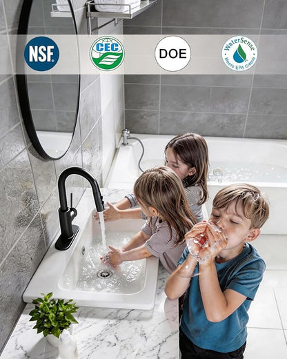 Bathroom Faucets with Pull Down Sprayer, Bar Sink Faucet Single Hole for Kitchen Campers with Pop-Up Drain Hose, Suitable for Farmhouse Vanity Lavatory