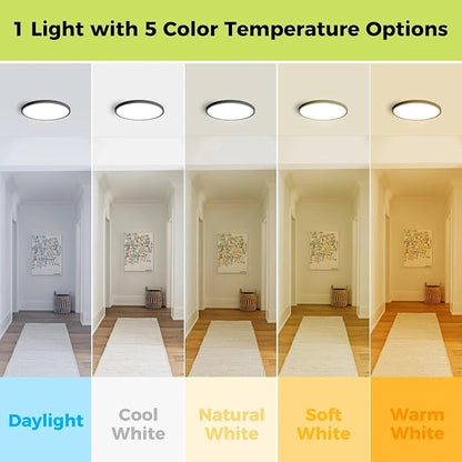 hepside 6Pack 12Inch LED Flush Mount Ceiling Light, Super Slim 24W LED Ceiling Light, Dimmable&3000K/3500K/4000K/5000K/6500K Adjustable Flat Ceiling Light Fixture for Bedroom,Living Room,Kitchen-Black