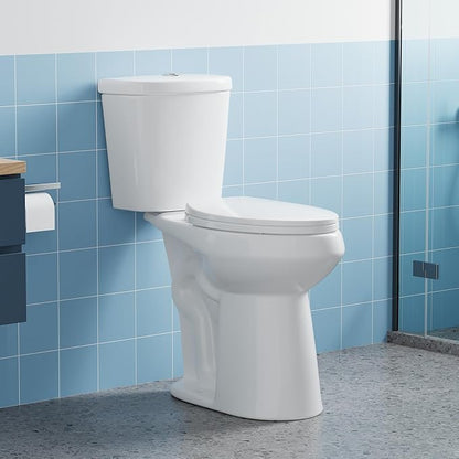 Two Piece Toilet with 21" Extra Tall Height, Elongated Ceramic Bowl and Locking PP Lid -Dual Flush, CUPC Certified, Water Efficient