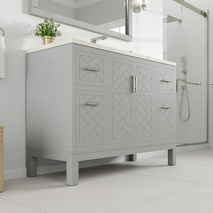 Eviva Cambridge 48 in. Gray Single Sink Bath Vanity with Quartz Top and Undermount Porcelain Sink