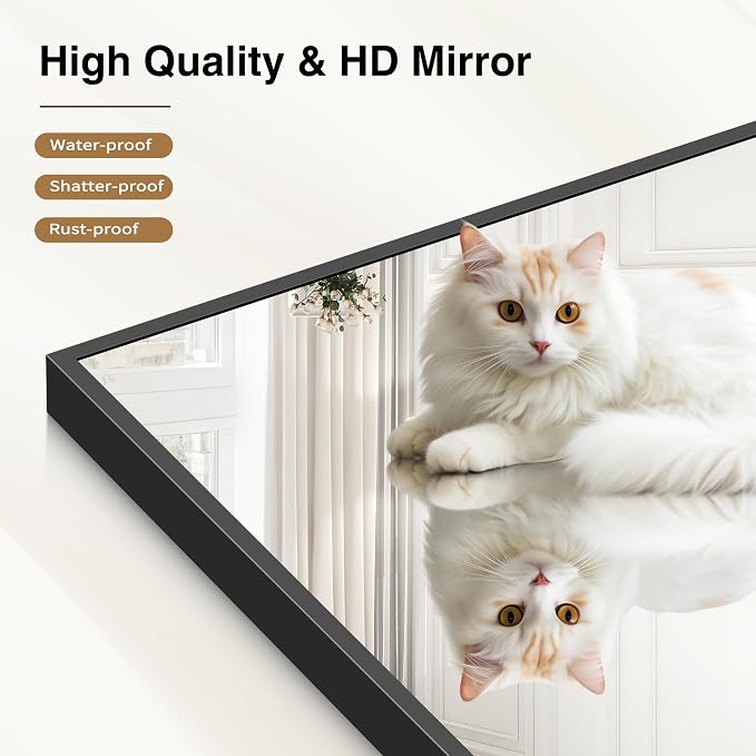 COFENY Black Bathroom Mirror for Wall, 24x60 Inch Rectangle Mirror with Metal Frame, Modern Vanity Mirrors for Bathroom Living Room, Entryway Hangs Horizontal or Vertical
