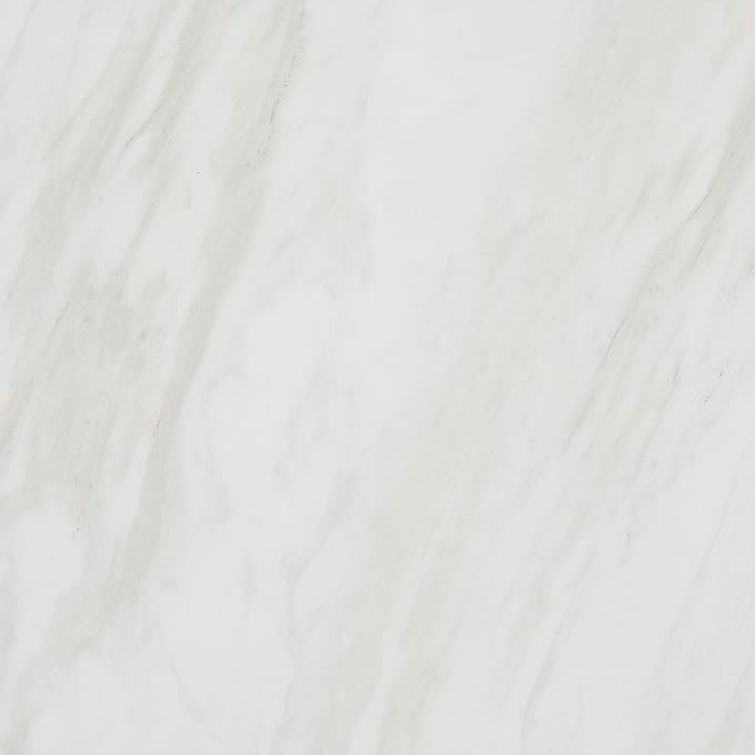 Daltile Perpetuo 24" X 24" Porcelain Marble Look Floor Tile in Matte Timeless White (4 pieces per carton) (15.20 sqft per carton)