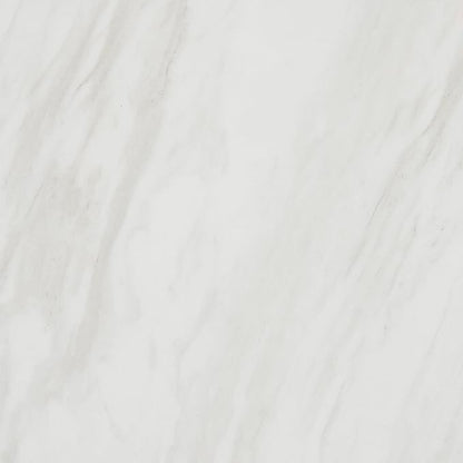Daltile Perpetuo 24" X 24" Porcelain Marble Look Floor Tile in Matte Timeless White (4 pieces per carton) (15.20 sqft per carton)