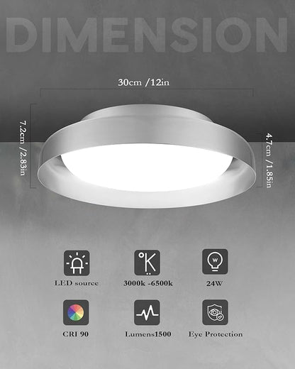 Ken & Ricky Flush Mount Ceiling Light Fixture, Led Dimmable 24w for Bedroom Kitchen Bathroom Laundry Hallway Entryway,Remote Control (Brushed Nickel,12Inch,2PK)