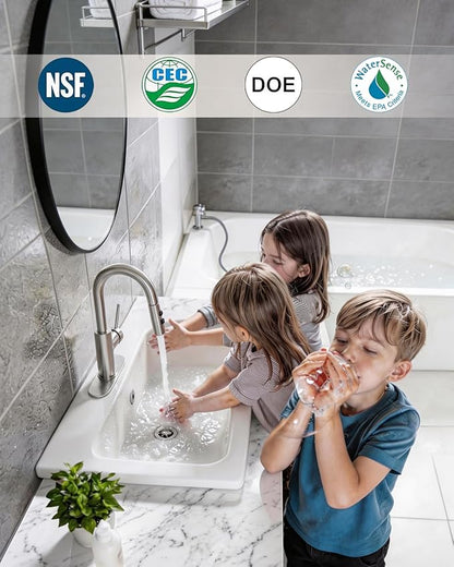 Fransiton Bathroom Faucets, Bar Sink Faucet Single Hole for Bathroom Kitchen Campers with Deck Plate Outdoor Faucet Vessel Farmhouse Vanity Lavatory (Brushed Nickel - Pull Sprayer - A)