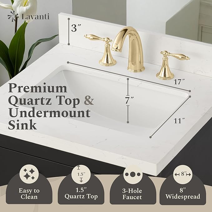 Lavanti Oakford 24 Inch Bathroom Vanity with Sink – Stylish Black Vanity Bathroom with Storage Cabinet – Modern Bathroom Vanities with Single Vanity Sink & Quartz Countertop
