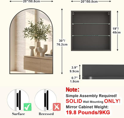 FKWin Medicine Cabinet Mirror for Bathrooms, Wall Mount Storage, 20x30 inch | Bathroom Mirror with Storage, Small Bathroom Solution, Adjustable Shelves, Reversible Door, Bathroom Upgrade, Black