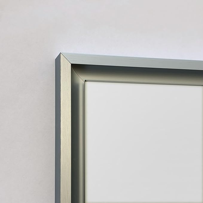 Fox Hollow Furnishings 20x30 Parker Metro Metal Framed Rectangle Recessed Bathroom Medicine Cabinet, Floating Mirror, 14x24 in-Wall Opening, Adjustable Glass Shelves, Magnet Close, Brushed Nickel