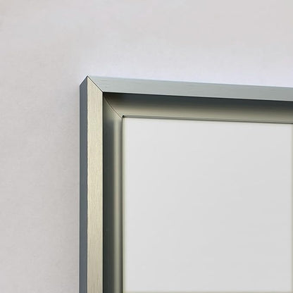 Fox Hollow Furnishings 20x30 Parker Metro Metal Framed Rectangle Recessed Bathroom Medicine Cabinet, Floating Mirror, 14x24 in-Wall Opening, Adjustable Glass Shelves, Magnet Close, Brushed Nickel
