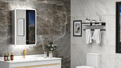 20×32 Inch Lighted Medicine Cabinet with Mirror, LED Medicine Cabinet with RGB Lights, Multicolor Backlit Mirror with Adjustable Front Lighted, Defogger, Memory Function, Surface Mount